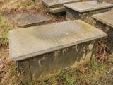 image of grave number 432857